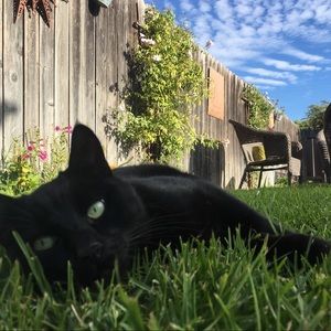 Meet your Posher, Eli